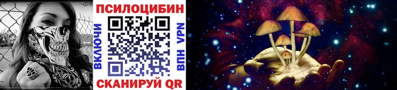 Псилоцибиновые грибы Magic Shrooms  Купить где  Верхняя Пышма 